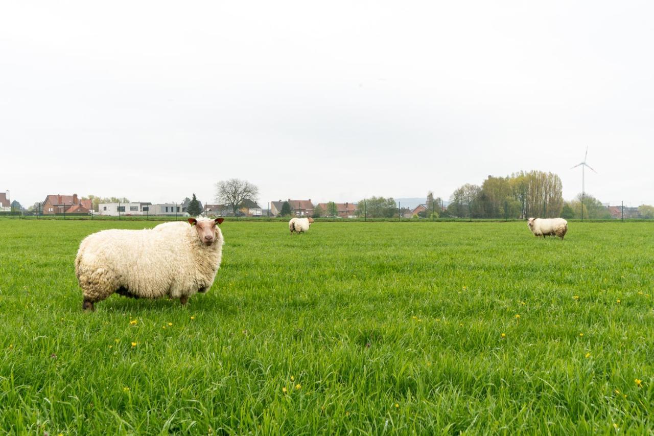 Vakantiewoning De Bles Avelgem Esterno foto